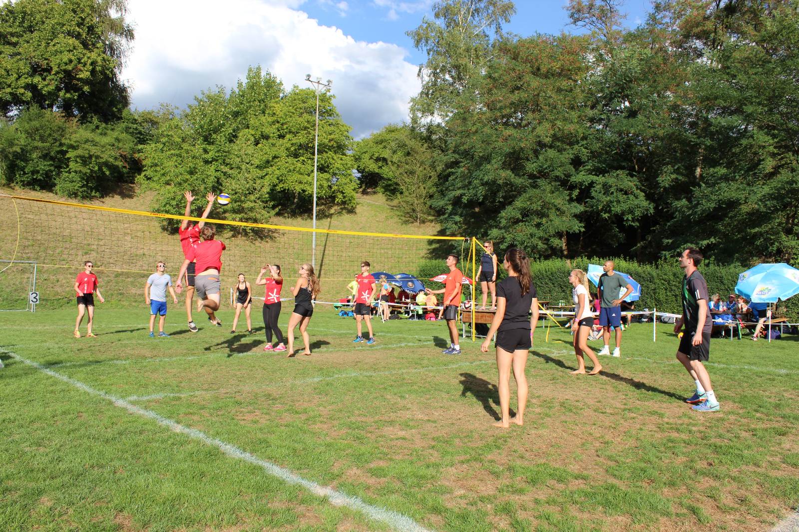 Volley  (128)